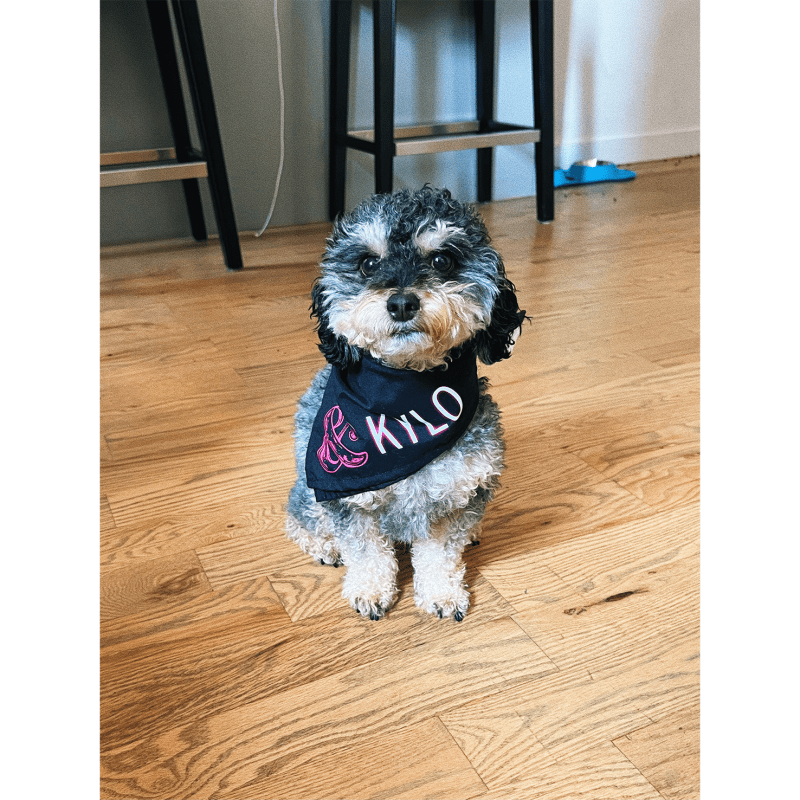 J Pet Bandana Kylo